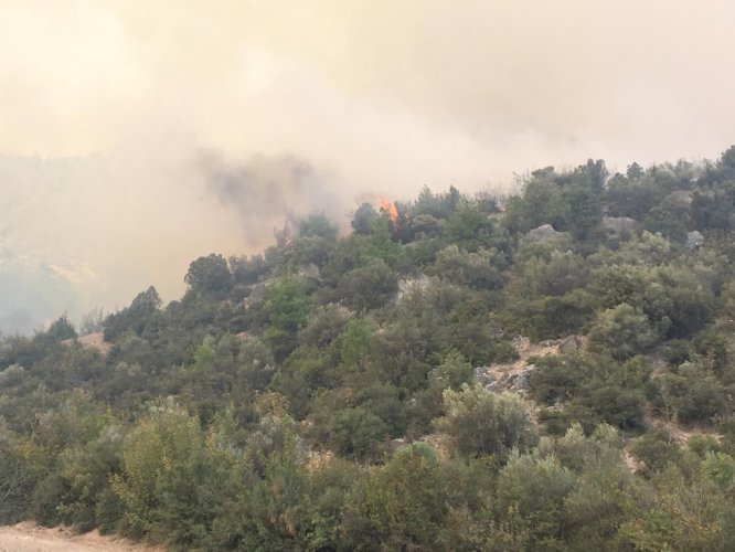GÜNCELLEME - Bilecik'te makilik alanda yangın