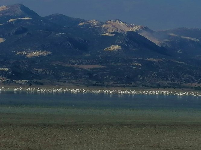 Yarışlı Gölü'nün kuruduğu iddiası