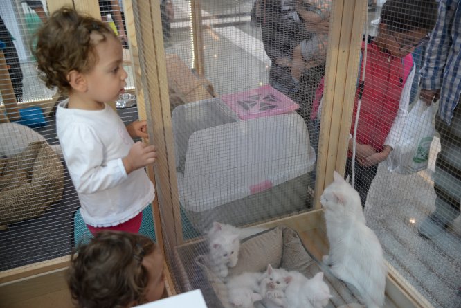 Anakara'da "2. Uluslararası Coğrafi İşaretli Ürünler" zirvesi