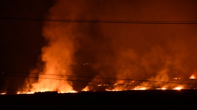 Ağrı'da sazlık alanda yangın