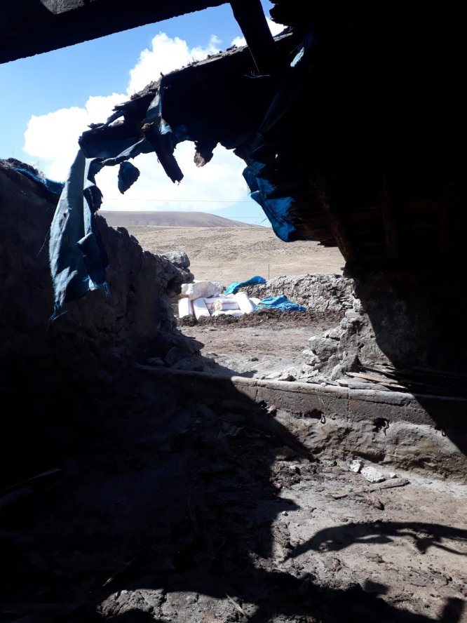 Elektrik akımına kapılan 24 büyükbaş hayvan telef oldu