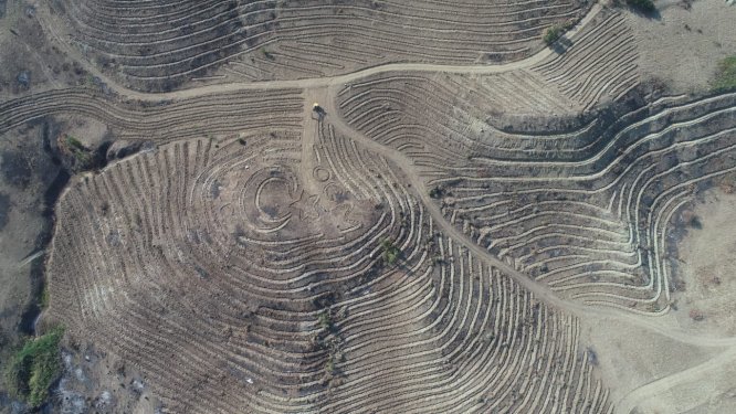 Yanan orman alanına "ay-yıldızlı" proje