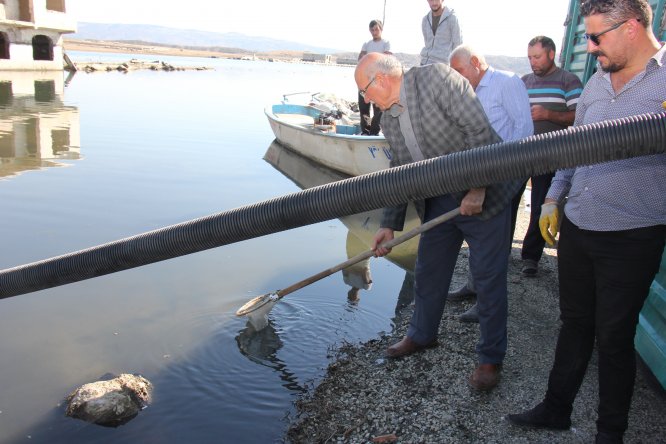 Çekerek Barajı'na 400 bin balık bırakıldı
