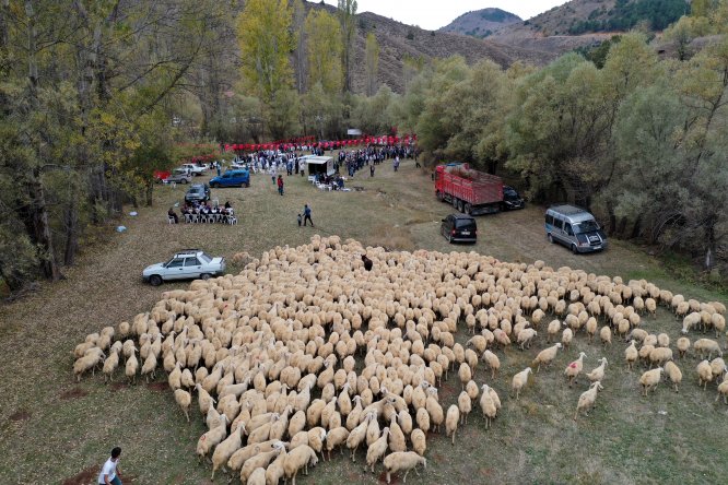 Koç katımı töreni renkli görüntülere sahne oldu