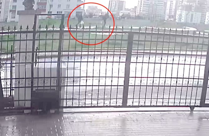 Sokak köpeklerinin zehirlenme anı güvenlik kamerasında