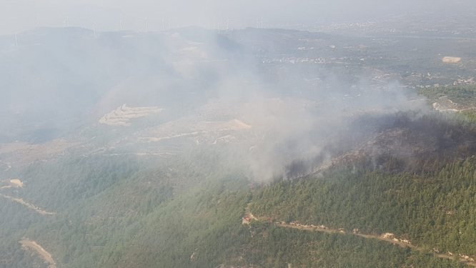 Hatay'da orman yangını