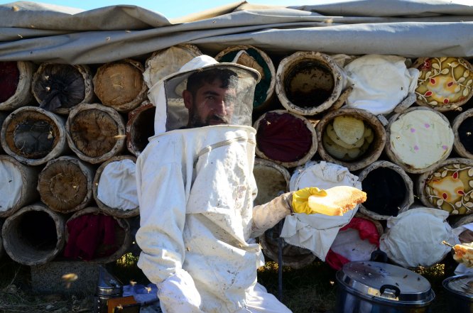 3 bin rakımlı yaylalarda karakovan balı hasadı başladı