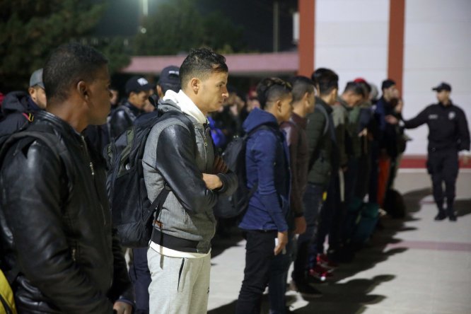 Edirne'de 252 düzensiz göçmen yakalandı