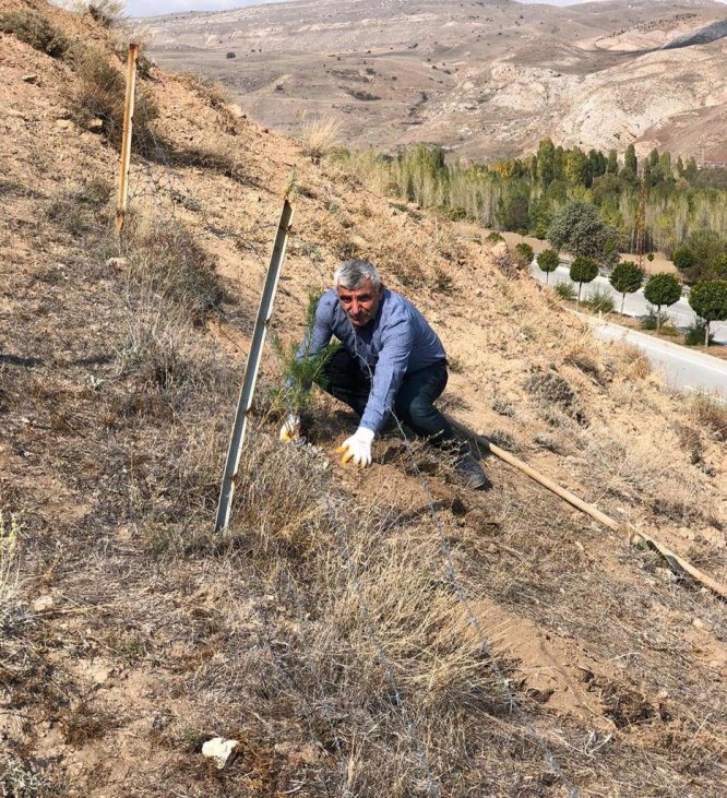 "Muhasebeciler Hatıra Ormanı'na" çam fidanı dikildi