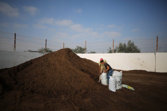 Gazze'de zeytin çekirdeği ve posasından yakıt üretiliyor