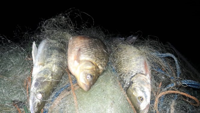 Konya'da baraj gölünde denetimler