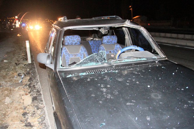 Suşehri'nde büyükbaşa çarpan araçtaki 4 kişi yaralandı