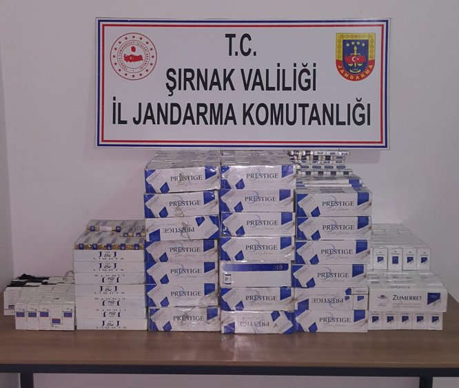 Şırnak'ta uyuşturucu ve kaçakçılık operasyonları