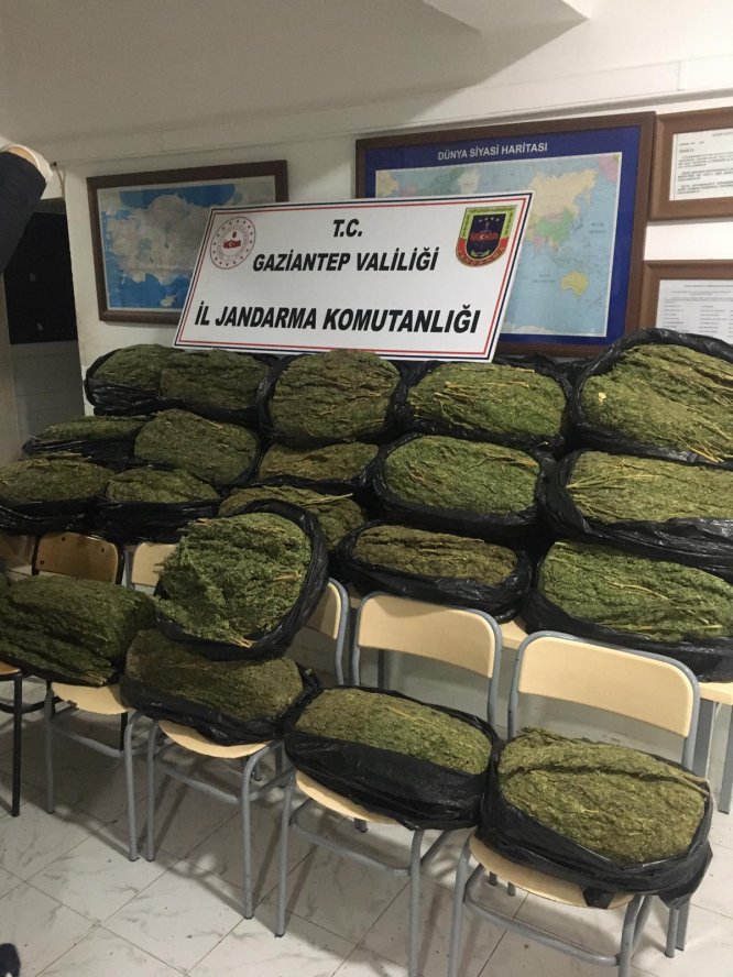 Gaziantep'te düzenlenen operasyonda 200 kilogram esrar ele geçirildi