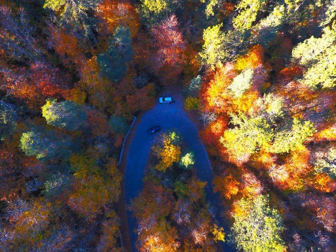 Bolu ve Düzce, sonbahar güzelliğine büründü