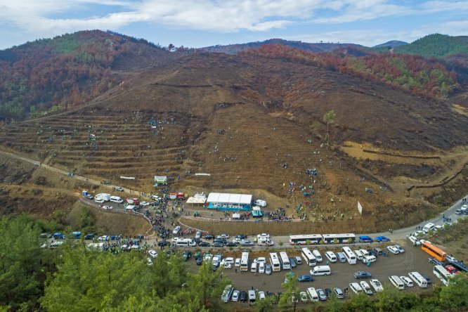 İzmir'de 1 milyon fidan toprakla buluşuyor