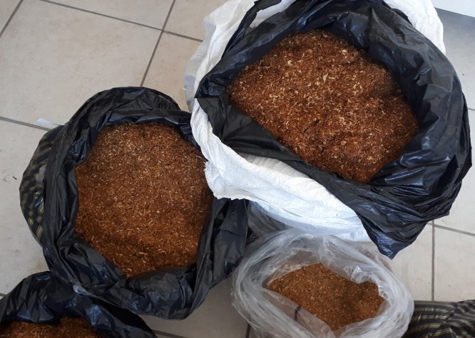 Beypazarı'nda kaçak tütün operasyonu