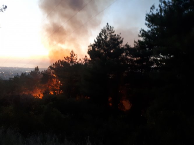 Hatay'da orman yangını
