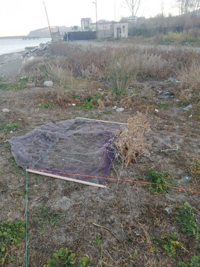 Zonguldak'ta saka kuşlarını yakalayan avcılara 3 bin 300 lira ceza