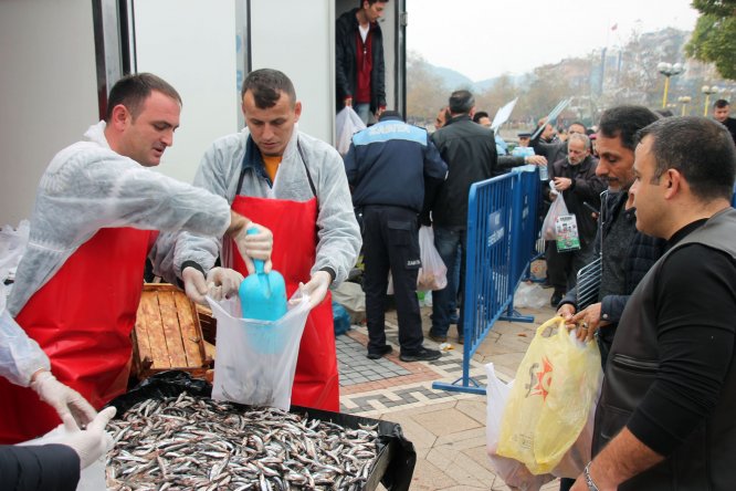 Zonguldak'ta düzenlenen hamsi festivalinde 10 ton balık dağıtıldı
