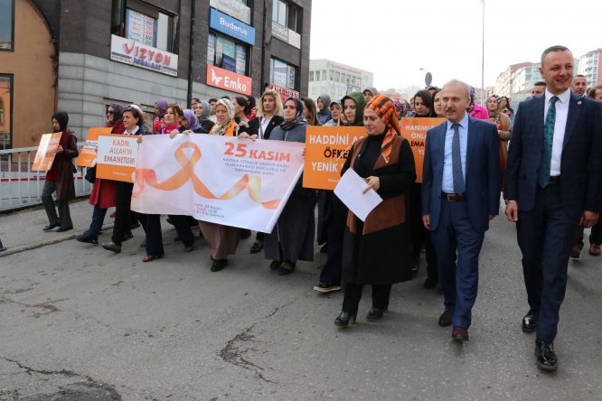 Kadına Yönelik Şiddete Karşı Uluslararası Mücadele ve Dayanışma Günü