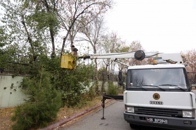 Yenimahalle'de budanan ağaçlar dar gelirlilere yakacak olarak dağıtılıyor