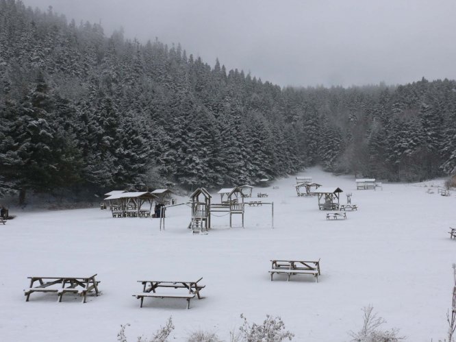 Abant Tabiat Parkı'nda kar güzelliği