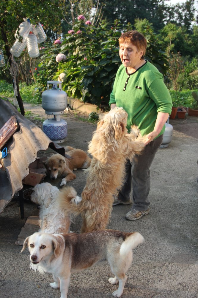 Hayatını sokak hayvanlarına adadı