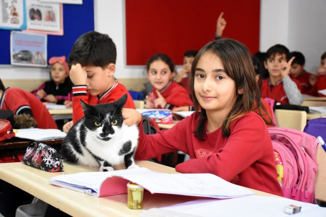 Minik öğrencilerin okulu sahipsiz "Kartal"a yuva oldu