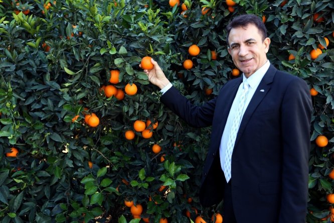 Akdeniz’den ihracat 13.5 milyar dolara ulaştı