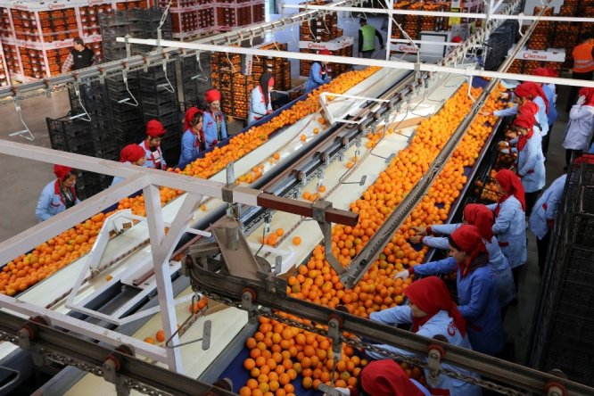 Akdeniz’den ihracat 13.5 milyar dolara ulaştı