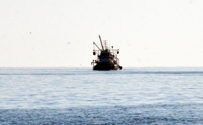 Hamsinin göç etmesiyle tezgahlar istavrit ve mezgite kaldı