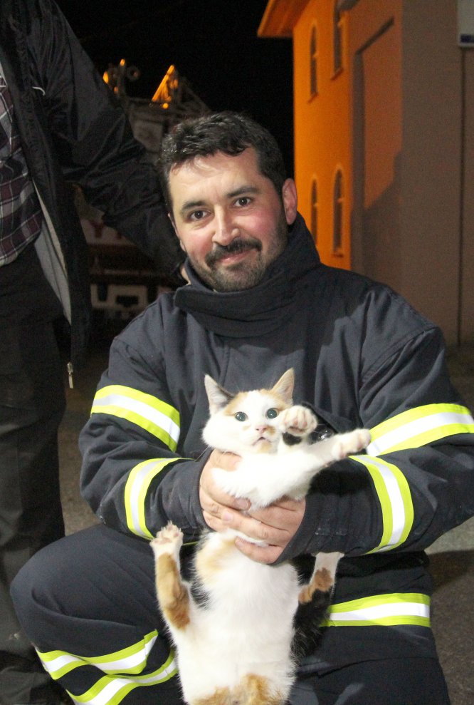 Kastamonu'da minarede mahsur kalan kediyi itfaiye kurtardı