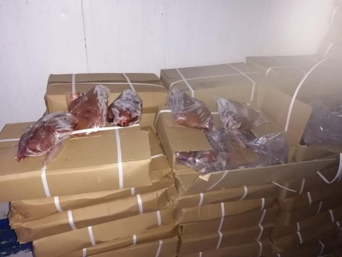 Mersin’e Çin’den getirilen kaçak 23 ton kuzu ciğeri yakalandı