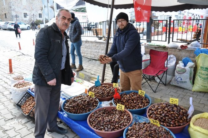 Simav kestanesine ilgi