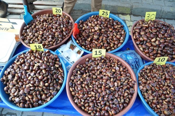 Simav kestanesine ilgi