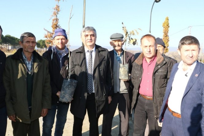 Demirci’de üreticilere ceviz desteği