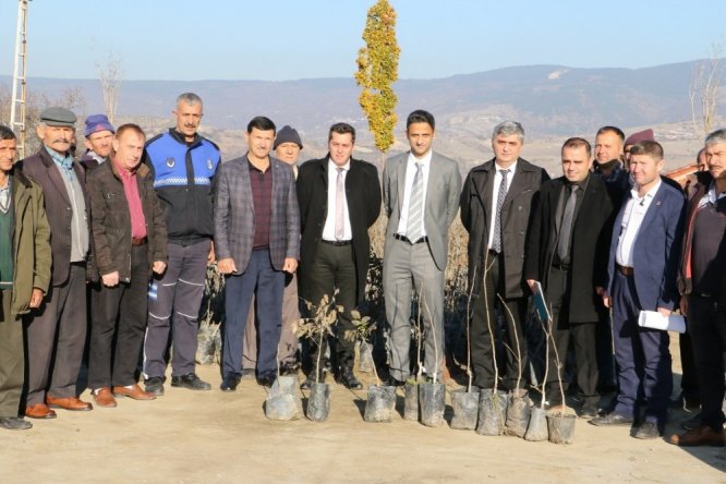 Demirci’de üreticilere ceviz desteği