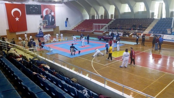 Aydın Analig Karate İl Karması seçmeleri yapıldı