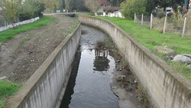 Güre’de balık ölümleri yaşandı