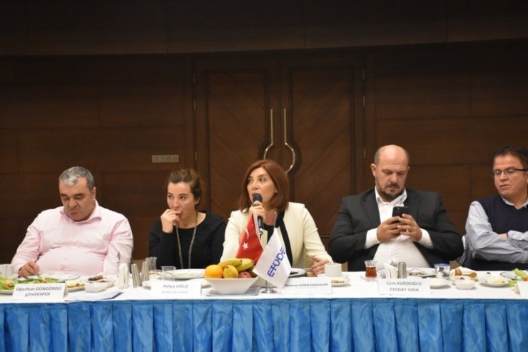 ANFAŞ - ETÜDER iş birliği