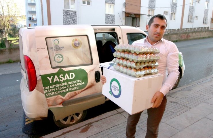 Ordu’da 90 bin organik yumurta ihtiyaç sahiplerine dağıtılıyor