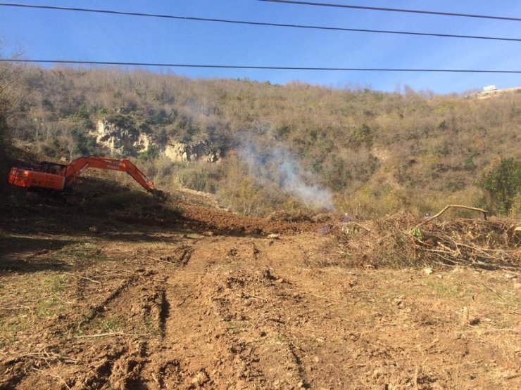 Trabzonlu fındıkçı Drakula’ya yenildi