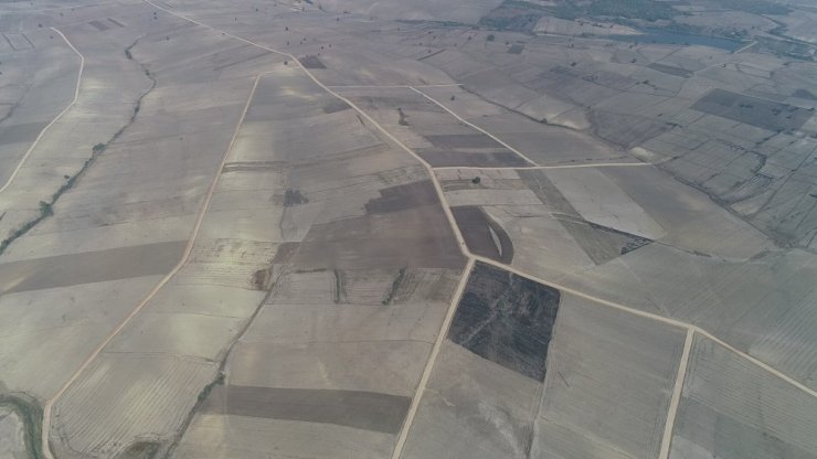 Trakya’da 3 milyon 991 bin 440 dekar alanda arazi toplulaştırma çalışmaları