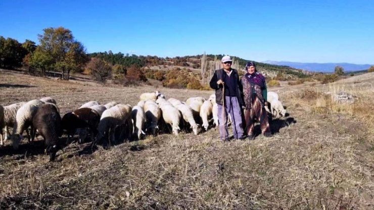 Kütahya’da ORKÖY projesiyle 144 aileye 3 milyon 804 bin TL. kredi desteği verildi