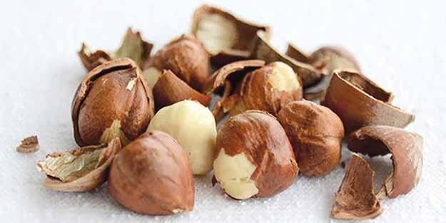 Ordu’da fındık fabrikası icralık oldu