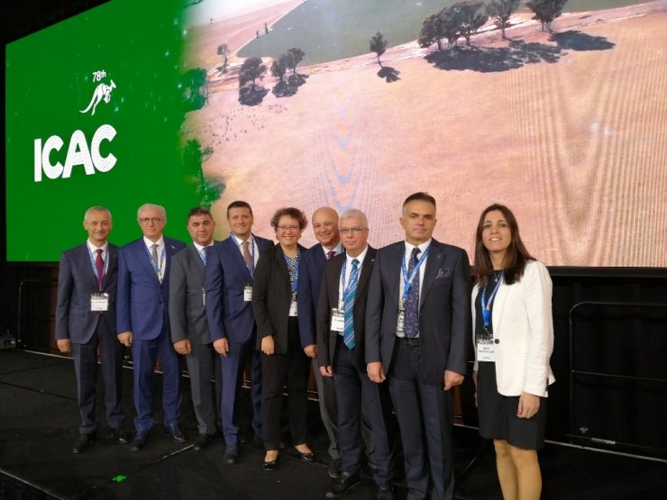 Türkiye pamuk üretiminde dünya altıncısı, ithalatta beşinci