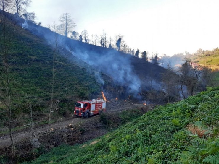 Artvin’de çaylık alanda yangın çıktı