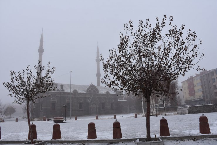 Kars'ta kar ve sis etkili oluyor