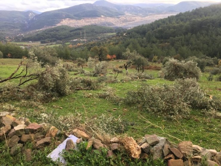 Milas’ı fırtına vurdu